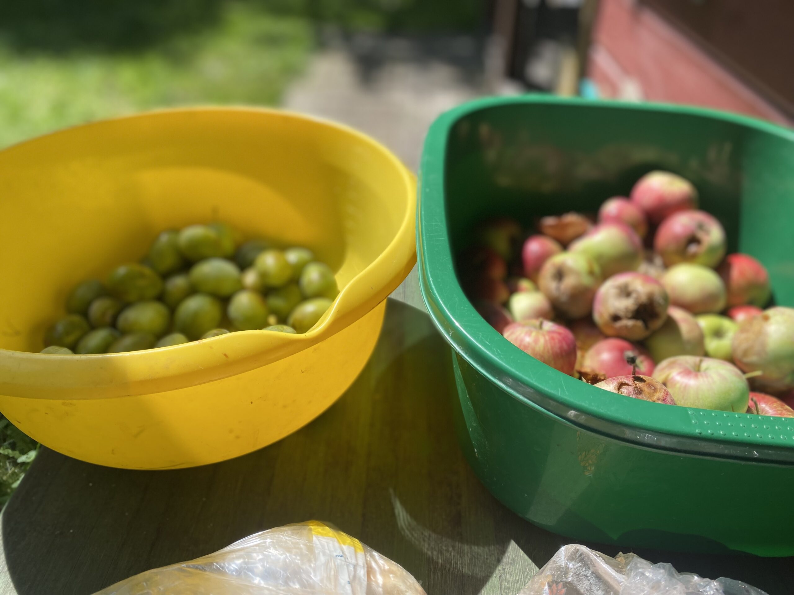 Geschützt: Obstsammeln in Masuren